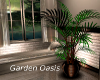 !T Garden Oasis Plant