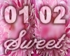 2 Pink Petals Backdrops