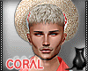 [CS]Coral on The Beach.M