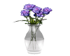 Roses Violet in Vase