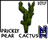 N}nw Prickly Pear_01
