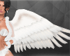 D. Angel Wings