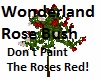 Wonderland Rose Bush