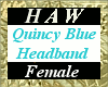 Quincy Blue Headband - F