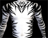 (ASP) White Tiger Skin
