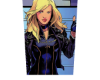 Black Canary Cutout