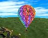 NS Flowers Balloon Ride