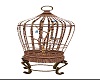 bird cage animated