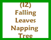 (IZ) Fallin Nappin Tree