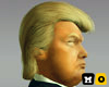 Donald Trump Hair (Prt 1