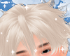 Zed Blonde