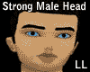 (LL) Strong Male Head