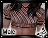 !! Straps and Net AN
