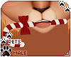 [Pets]Ginga|candycane v1