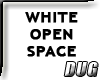 (D) An Empty White Space