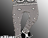 FH + Pants