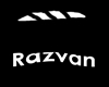 Razvan eyebrowns