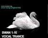 swan song G-TEK REMIX