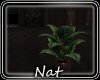 NT Heartbeat Plant 5