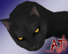 [AT] Black shoulder Cat