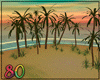 80_ Tropical Beach