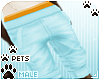 [Pets] Kimi | shorts