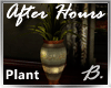 *B* After Hours Plant