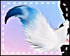 *Y* Faye Tail - 03