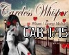 Care About Careless Whis