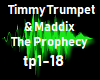Timmy Trumpet  Prophecy
