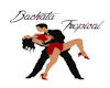 Bachata DanceCouple