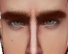 vk. Denzel Brows Ginger