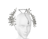仰阿莎-合