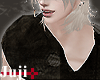✚ Add-on torn top 2