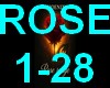 PHOENIX -  Rose rouge