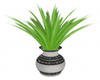 IslandPlant