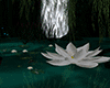 RainDrop Animated Lotus 