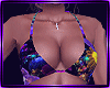 purple db bundle