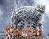  WinterBorn