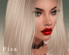Caenis blonde