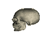 sticker skull