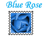 Blue Rose Stamp