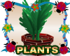 Leafy Plants