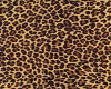 ~DT~ Leopard Rug
