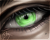                 Shine VI