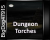 [BD]DungeonTorches