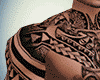 T-TribaL MuscLe TaTTooS