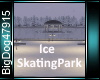 [BD]IceSkatingPark