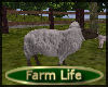[my]Farm Sheep Brownhead