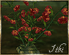 -I- G.H. Red Lilies